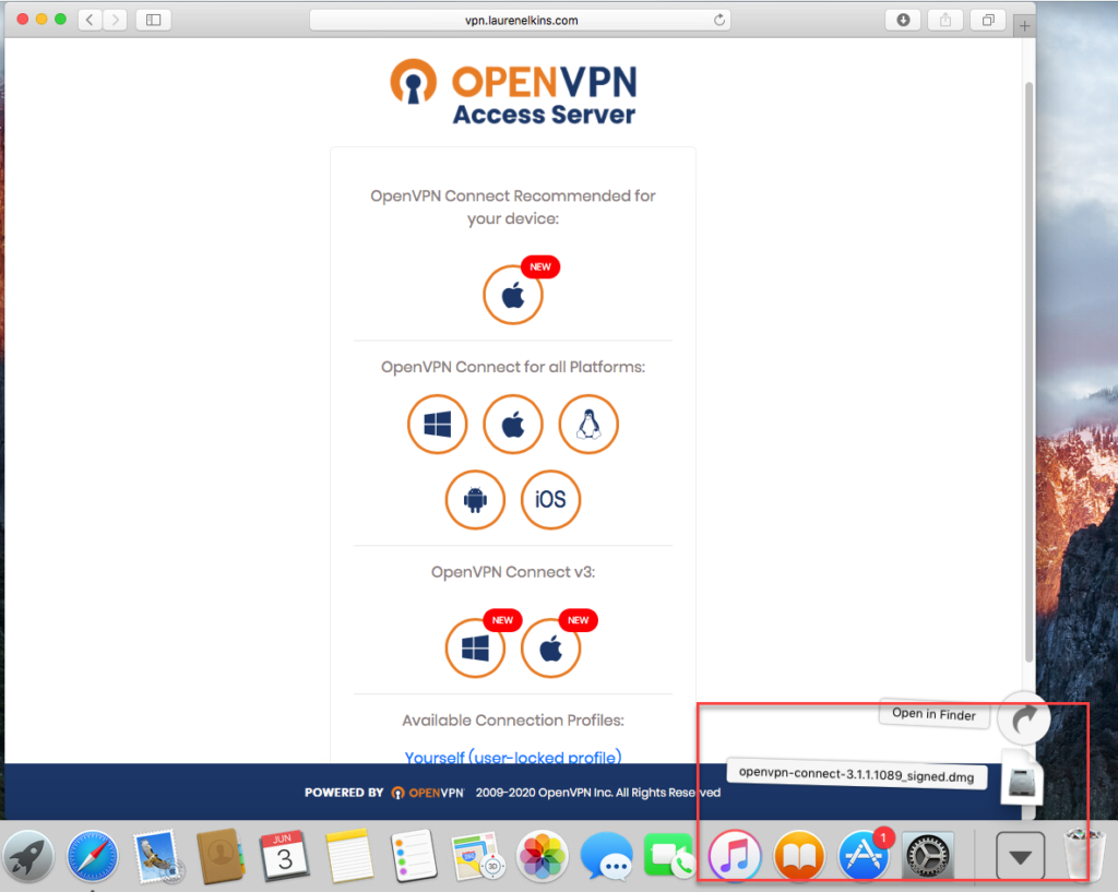 openvpn software client software for mac